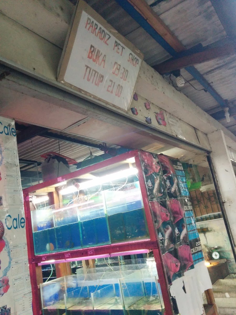 Paradiz Aquarium & Pet Shop - Photo 2