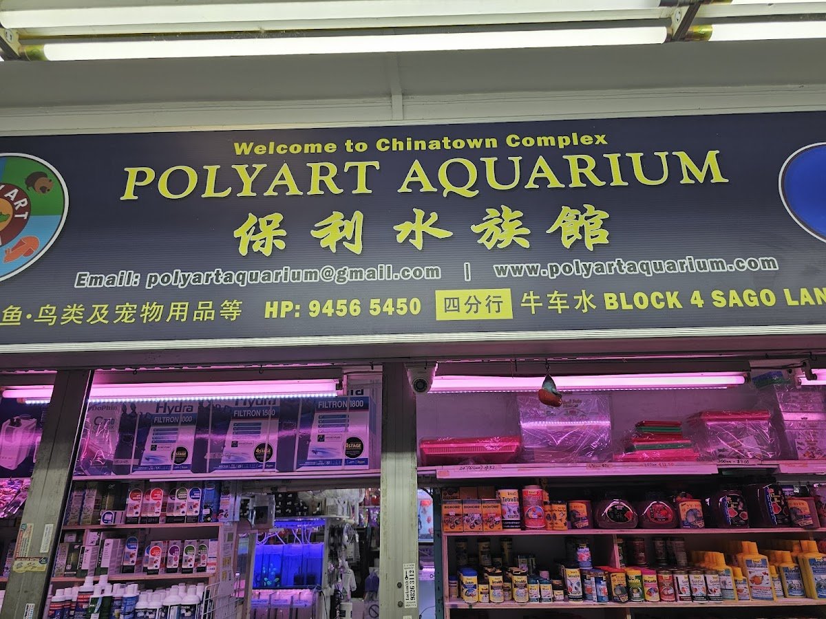 Polyart Aquarium (Chinatown) - Photo 2
