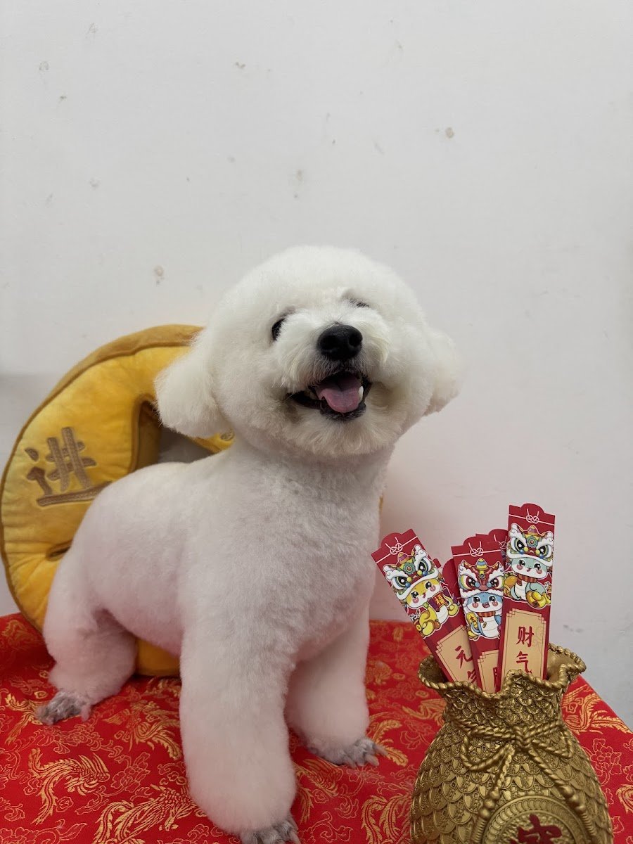 Fluffy Hero - Photo 2
