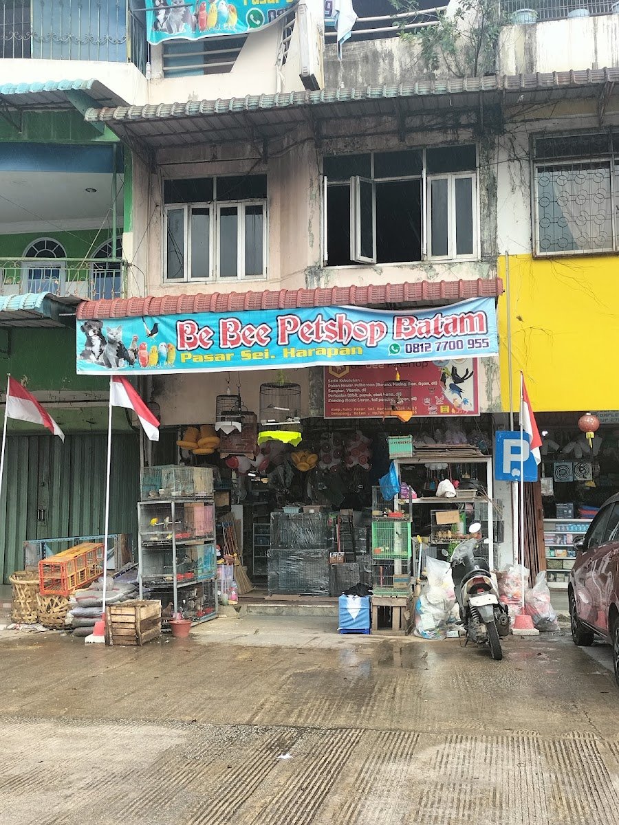 Be Bee Petshop Batam - Photo 2