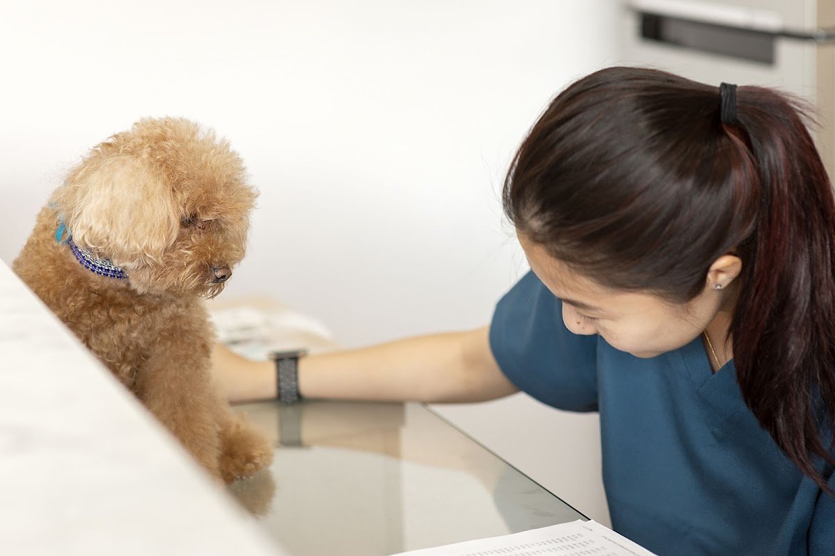 Hillside Veterinary Surgery - Photo 2