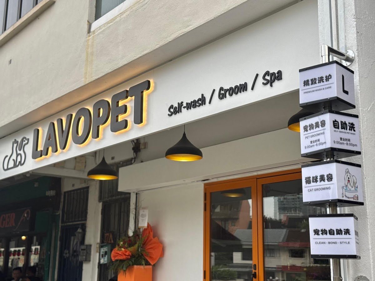 LAVOPET - Photo 2