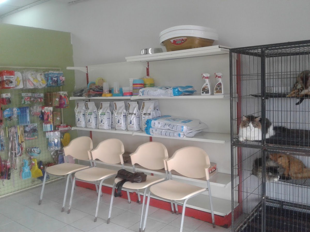 Nusajaya Veterinary Surgery - Photo 2