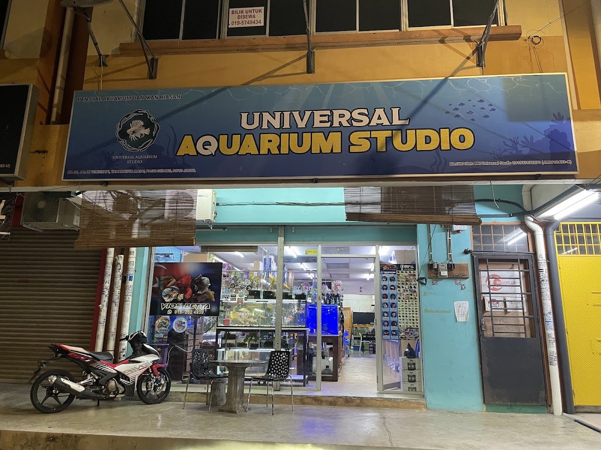 Universal Aquarium Studio & Cafe - Photo 2