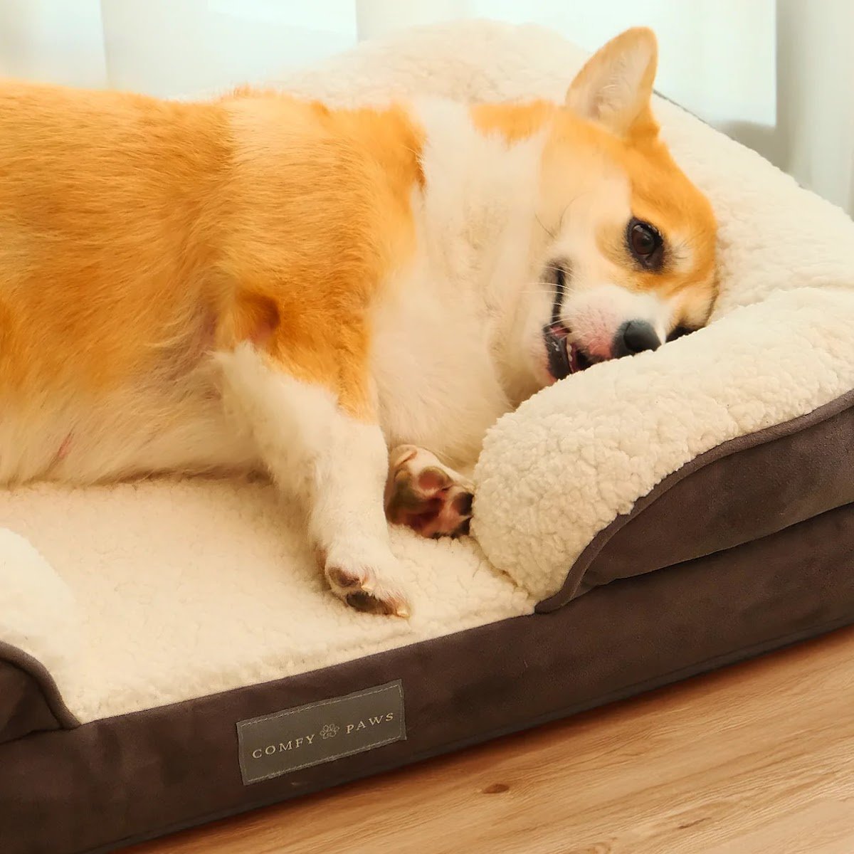 ComfyPaws - Photo 2