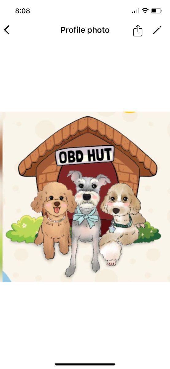 OBD Hut - Photo 2