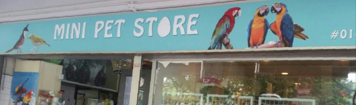 MINI PET STORE - Photo 2