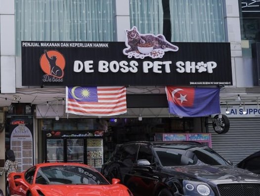 DE BOSS PET SHOP C POINT - Photo 2