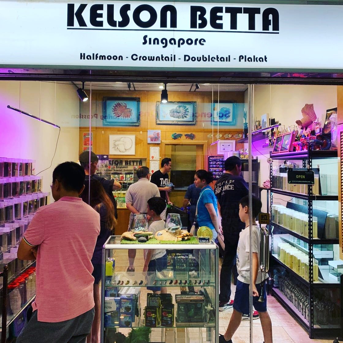 Kelsonbetta - Photo 2