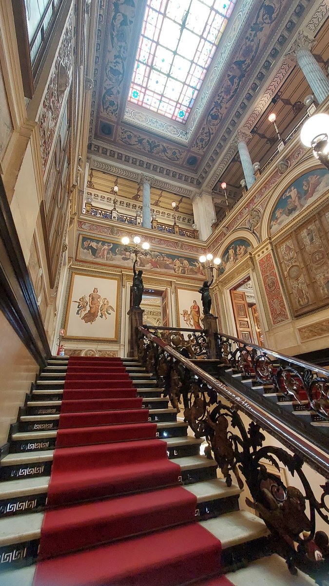 Clínica Veterinária Amigo Animal