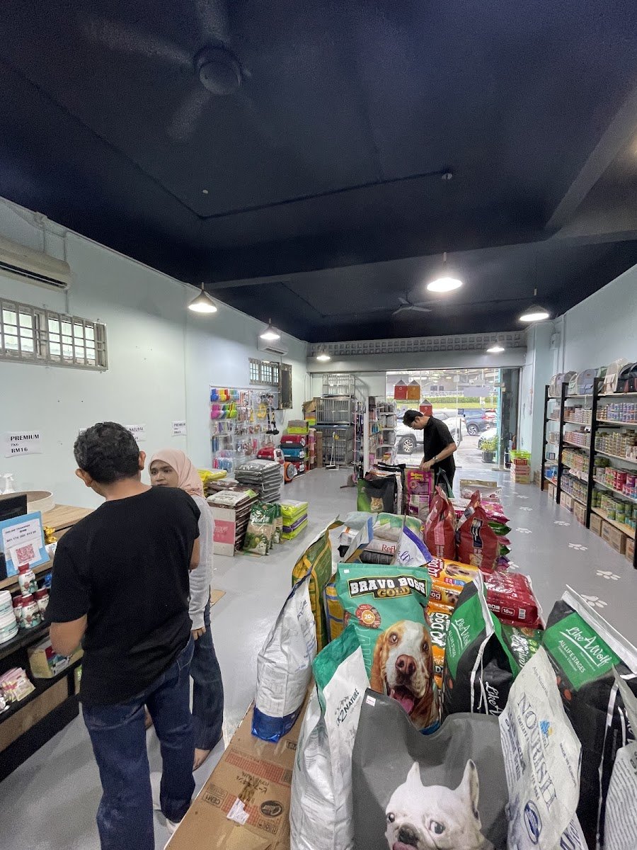 13 PET SHOP - Photo 2