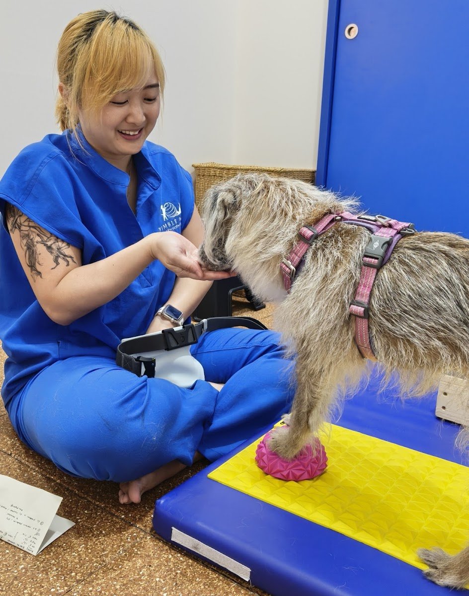 Nimble Paws Physiotherapy - Photo 2