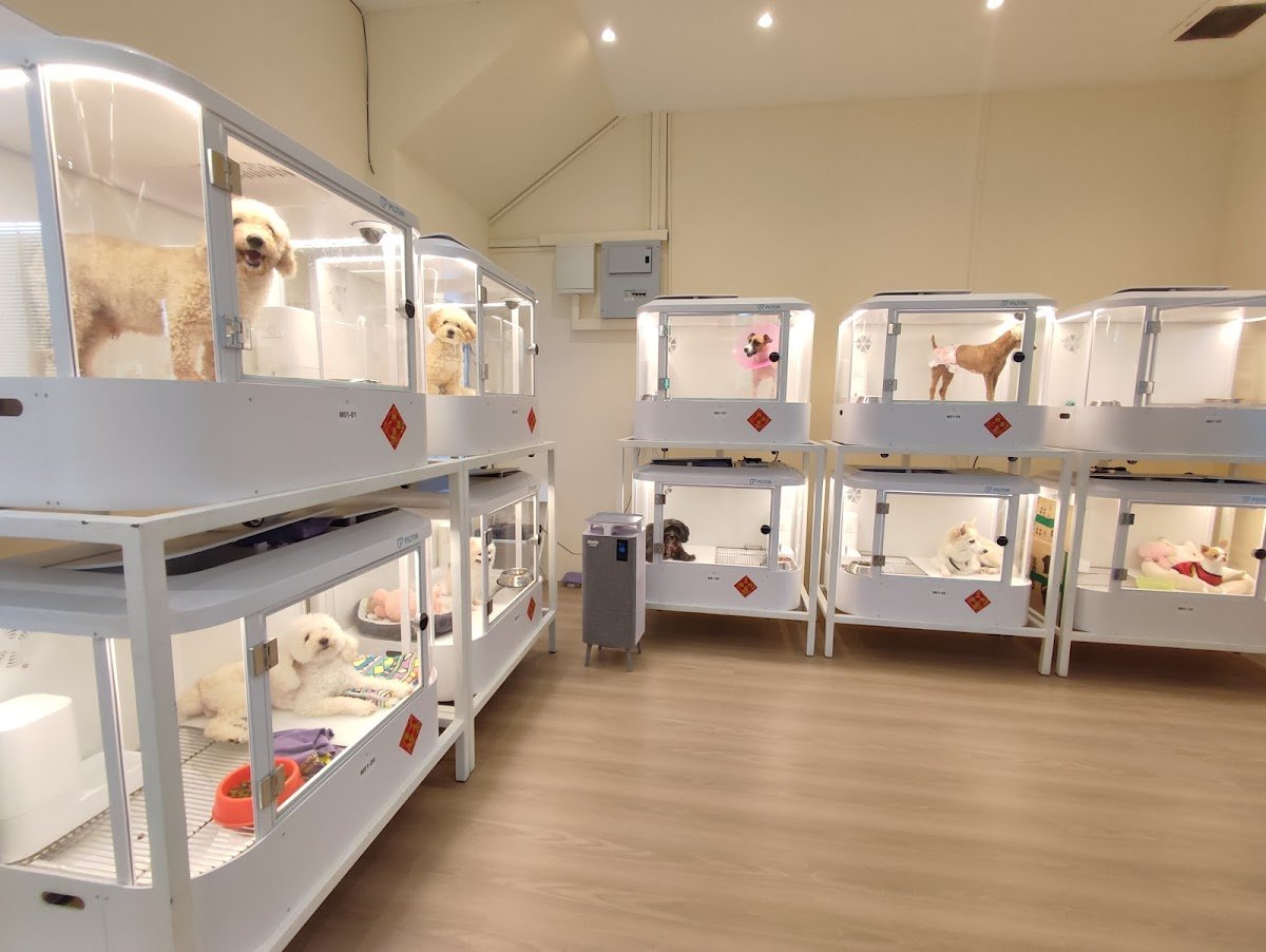 AI PETS GROUP SDN BHD - Photo 2