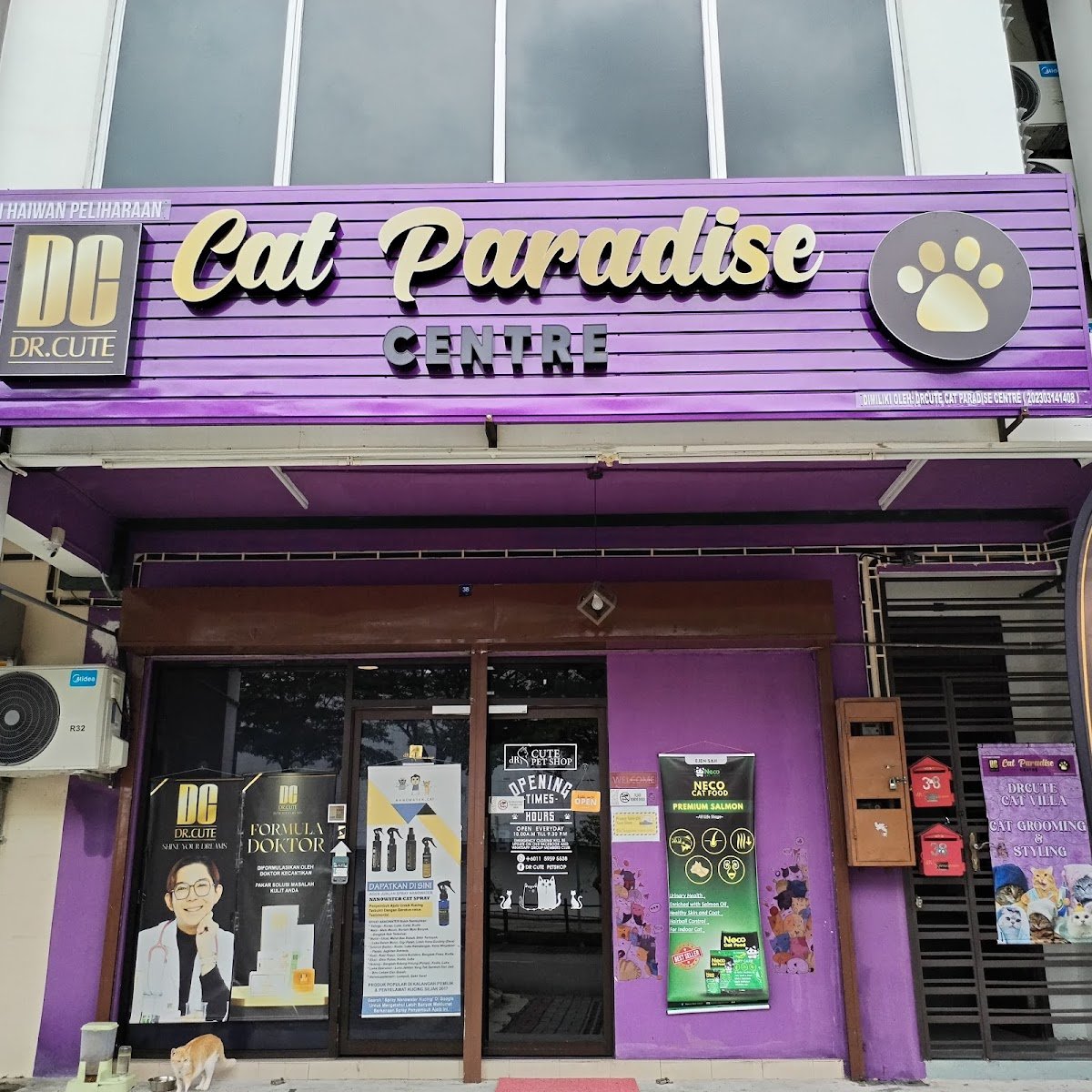 DR.CUTE CAT PARADISE CENTRE - Photo 2