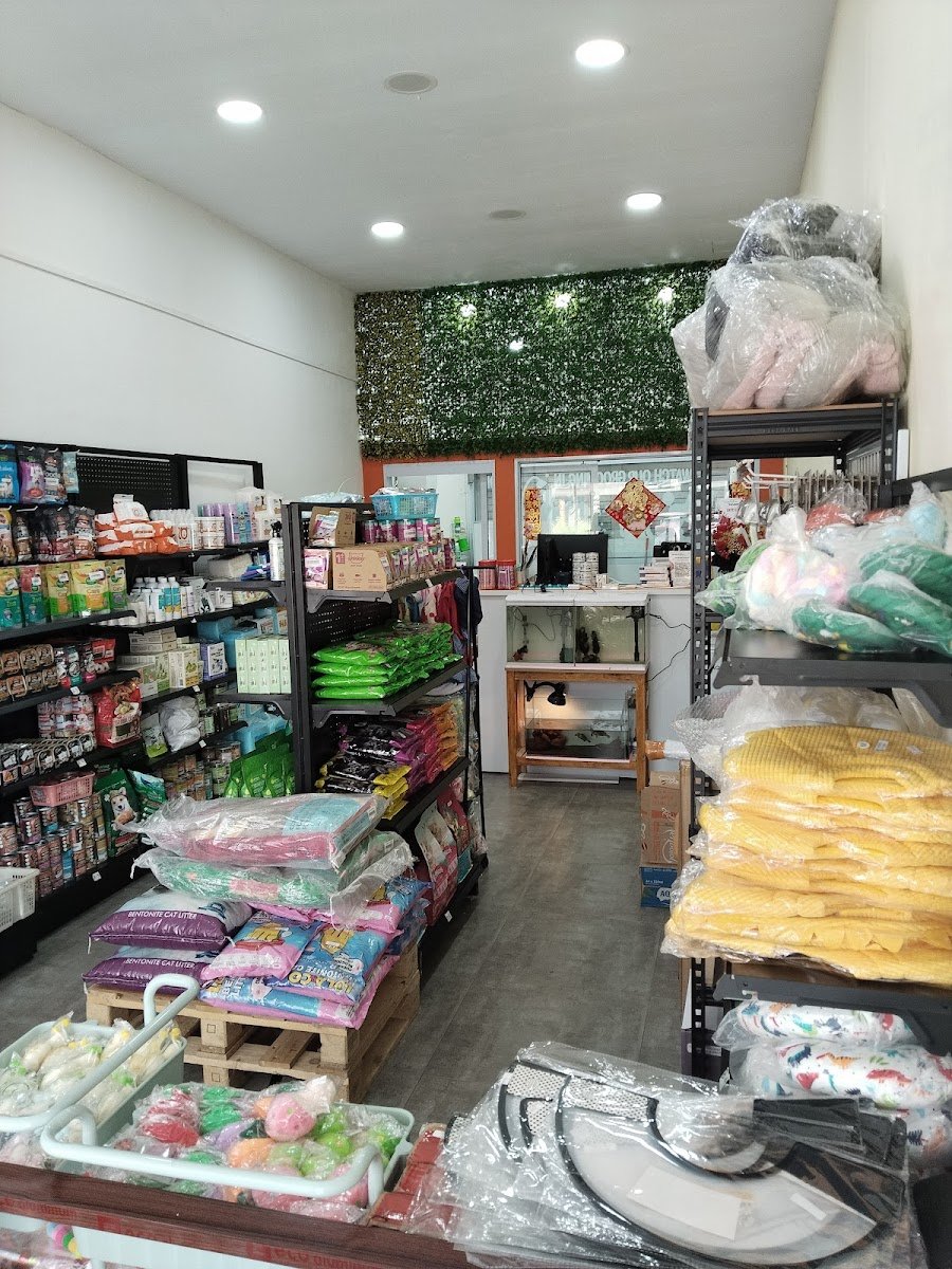 Lim petshop - Photo 2