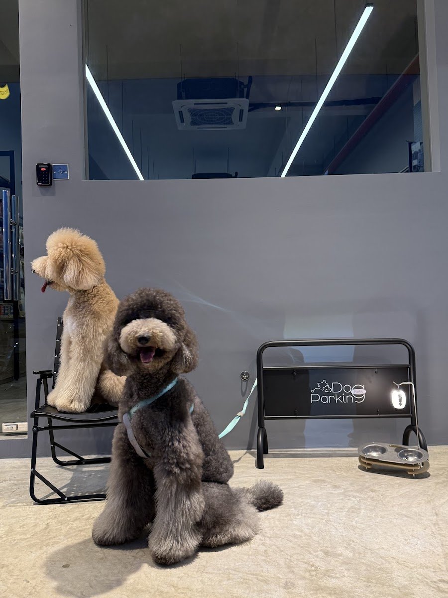 Paws Pet Style & Care - Photo 2