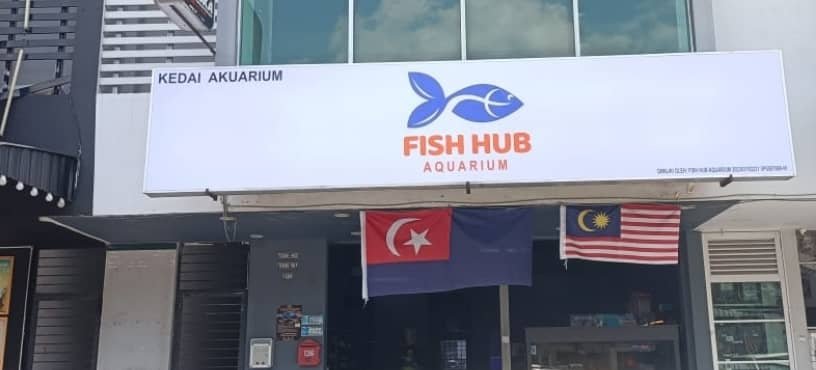 FISH HUB AQUARIUM - Photo 2