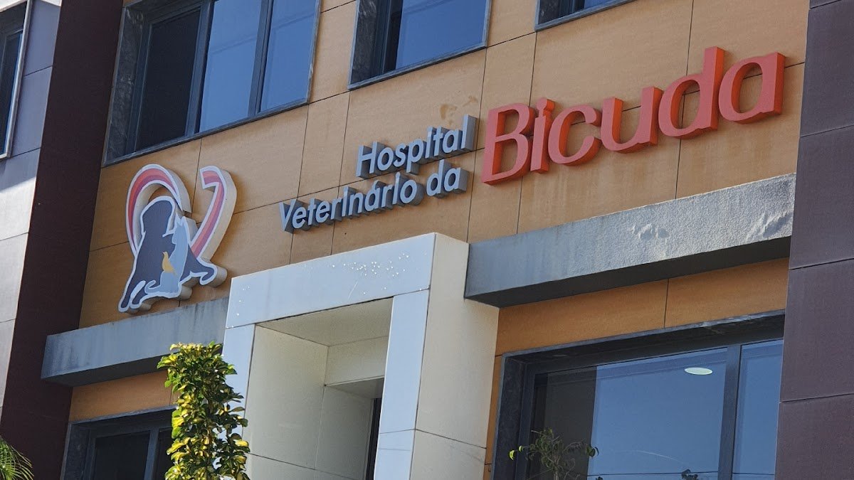 Hospital Veterinário da Bicuda - Foto 2