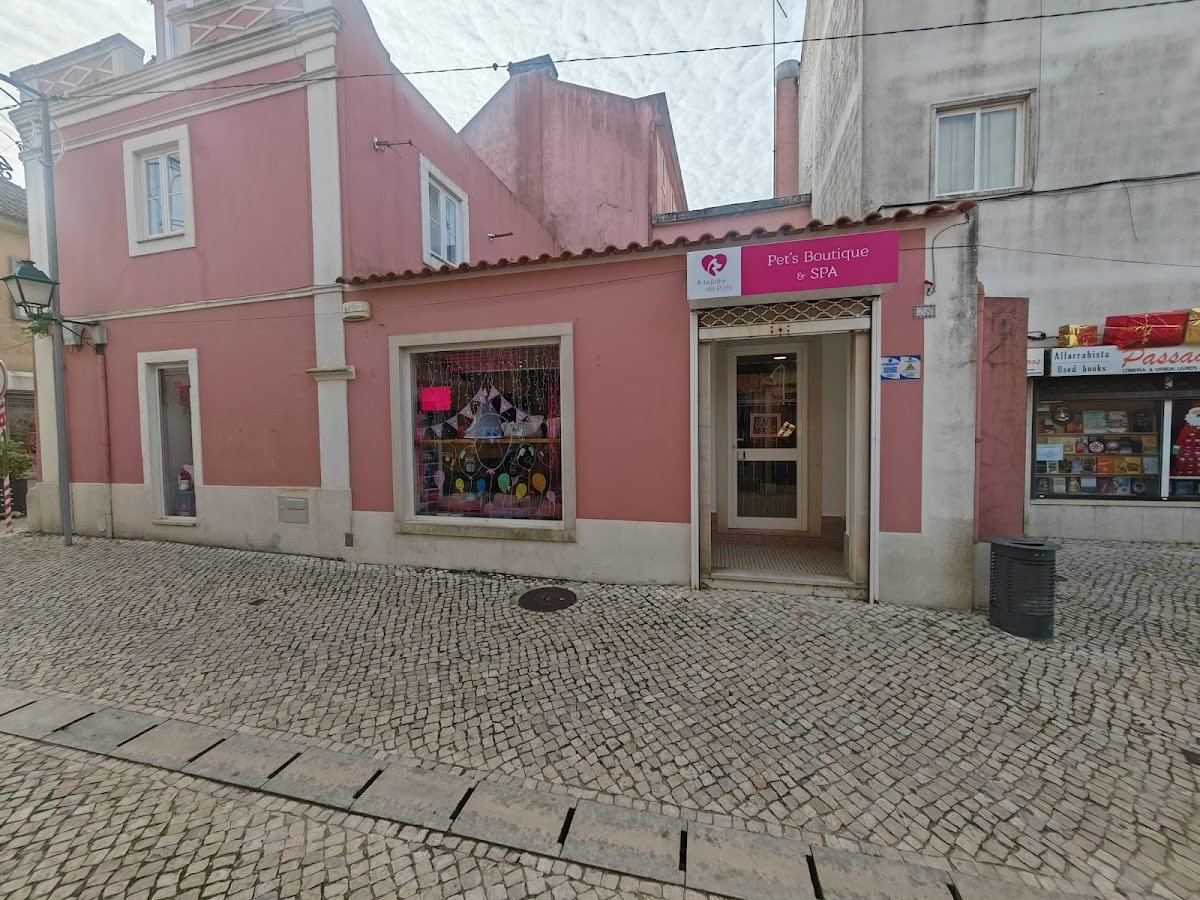 Lojinha Da Pip's - Foto 2