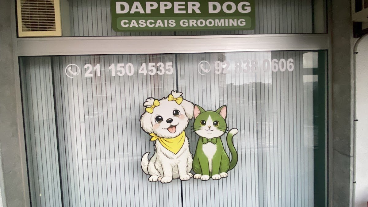 Dapper Dog Grooming Cascais - Foto 2