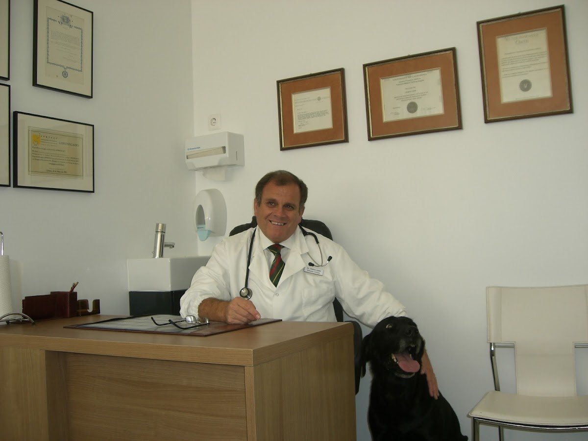 Clínica Veterinária Dr. Vieira Lopes - Foto 2