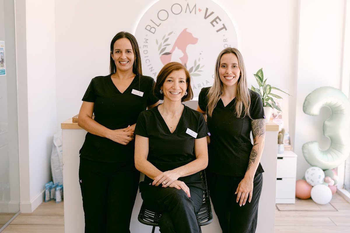 Bloom Vet - Foto 2