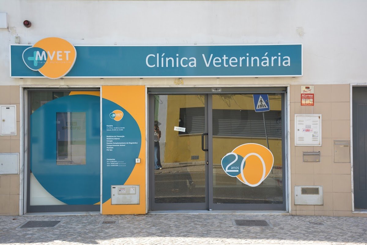 MVET - Foto 2
