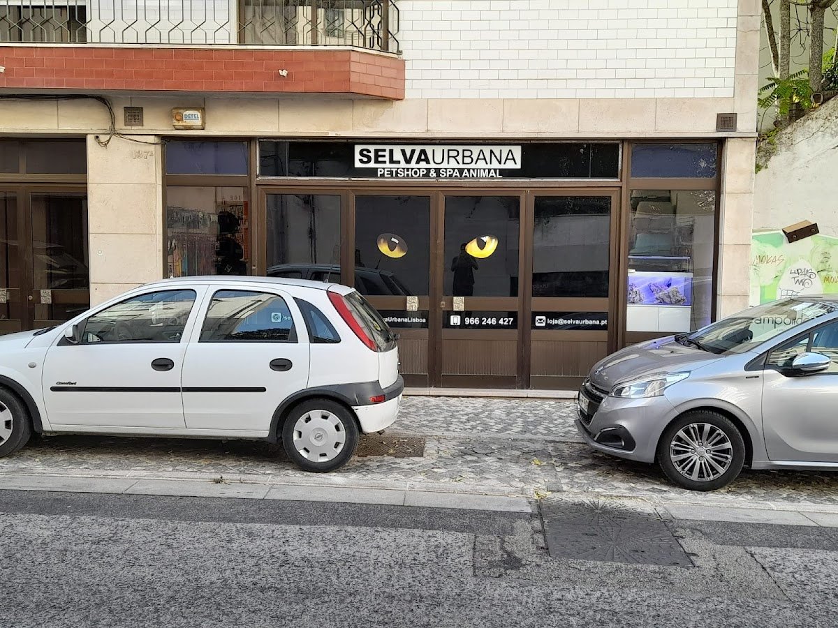 Selva Urbana Campolide - Foto 2