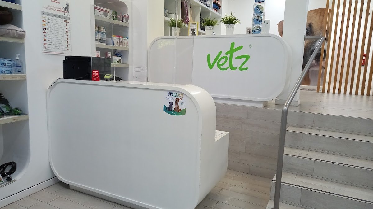 Vetz - Foto 2