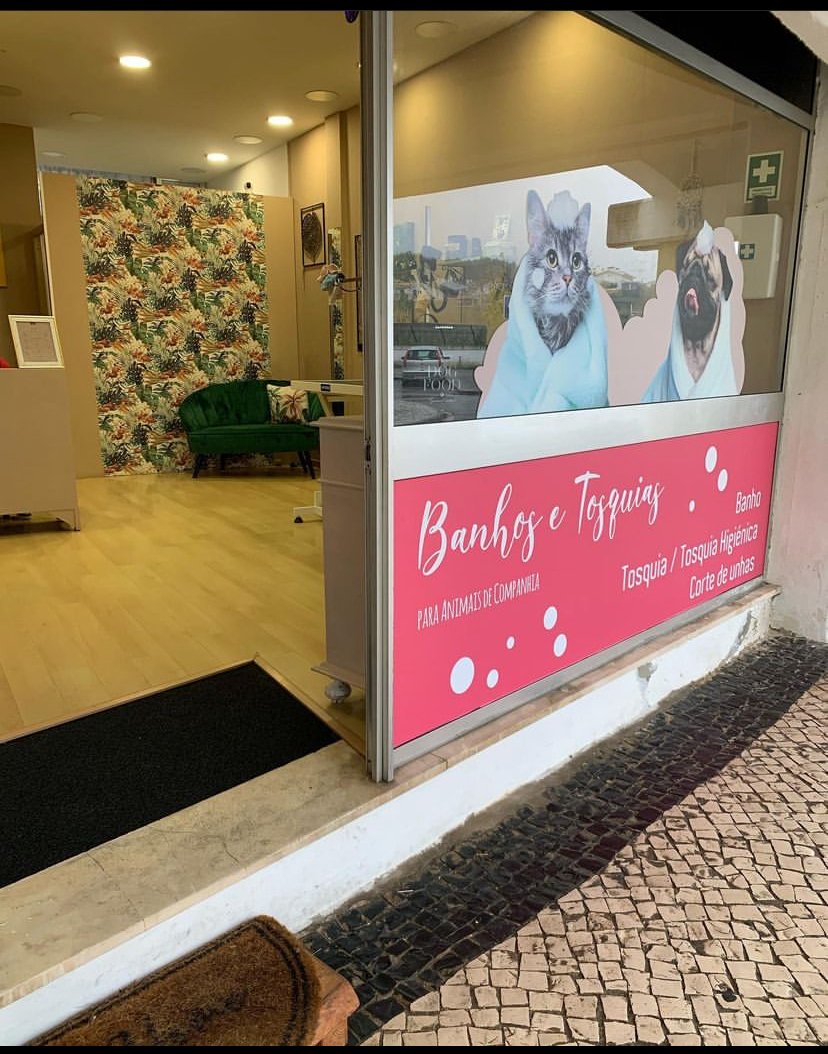 Banhos&Tosquia para animais de companhia. - Foto 2