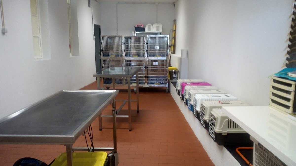 Cliníca Veterinária AMAW - Foto 2