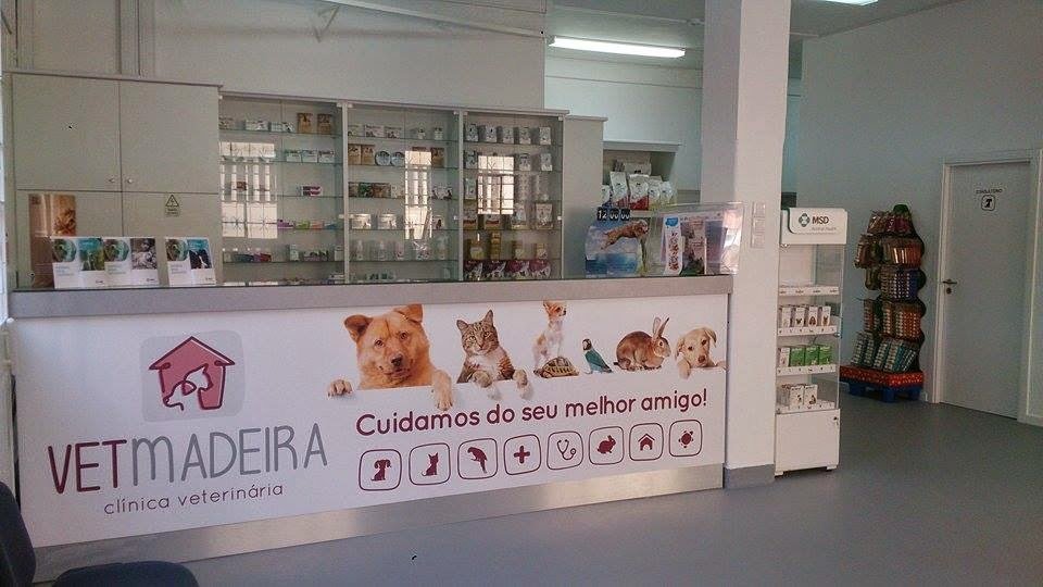 VETMADEIRA - Foto 2