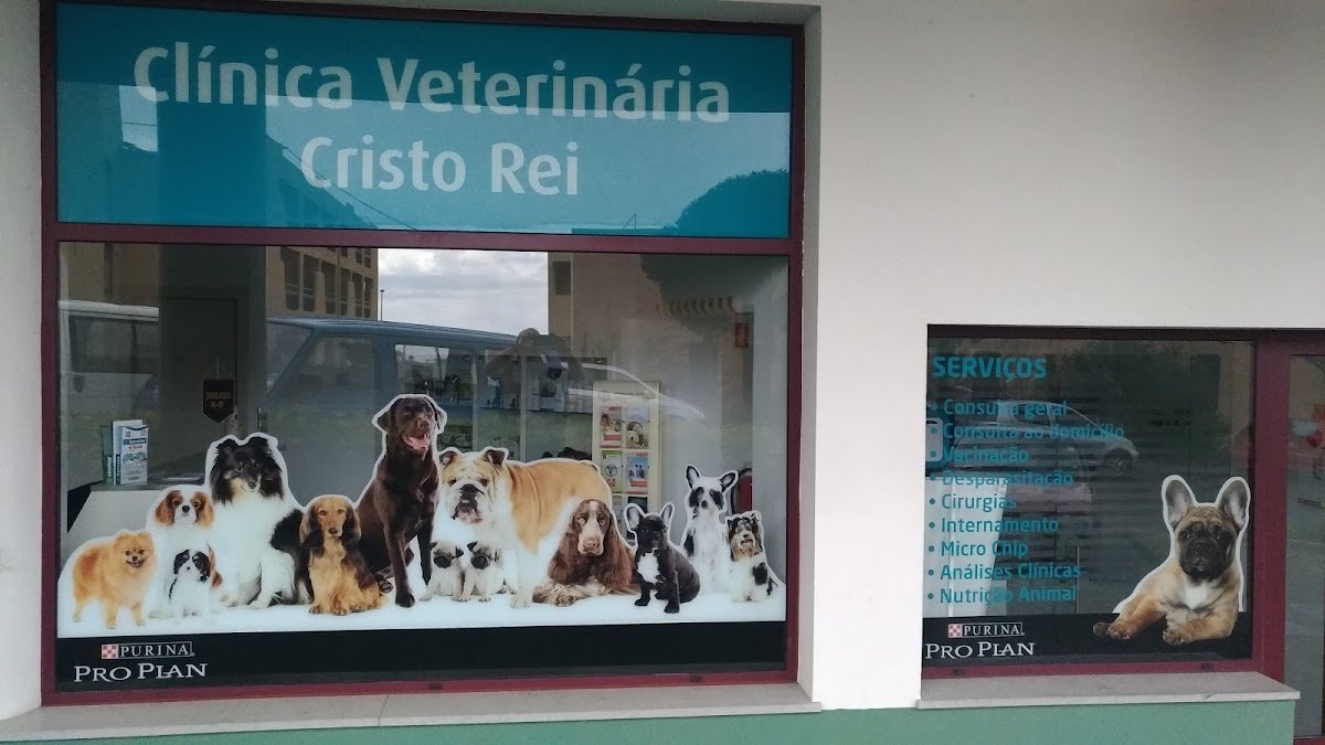 CLÍNICA VETERINÁRIA CRISTO REI - Foto 2