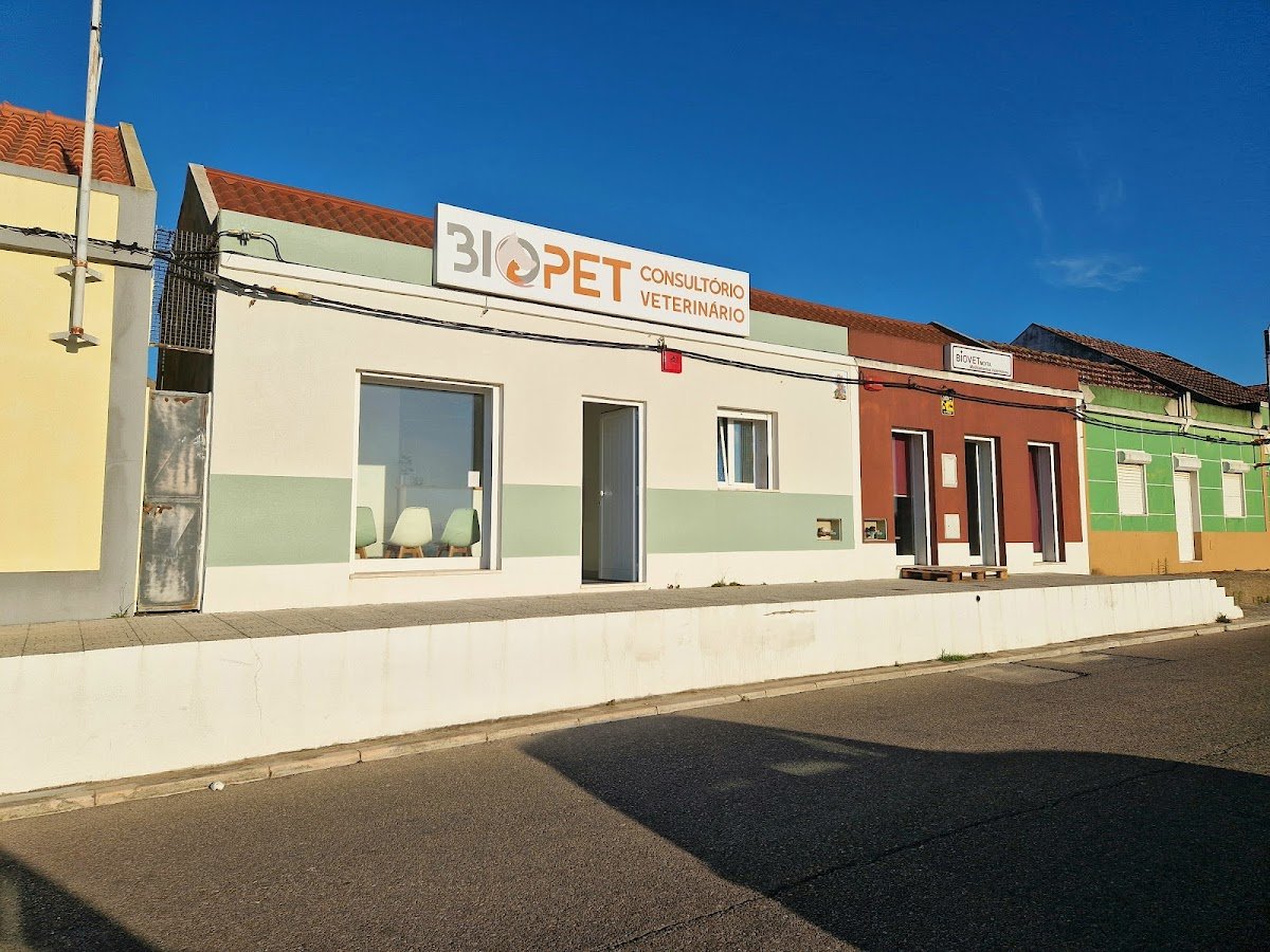 BioPet - Foto 2