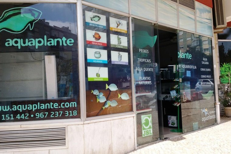 Aquaplante - Foto 2