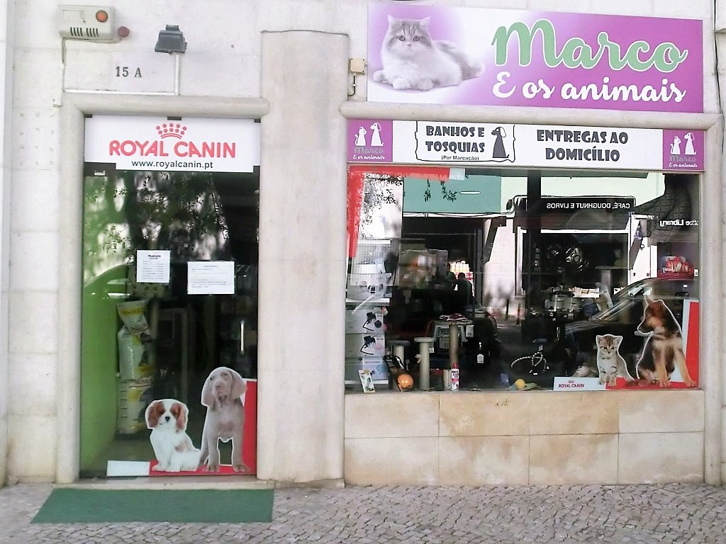 Marco e os Animais - Foto 2