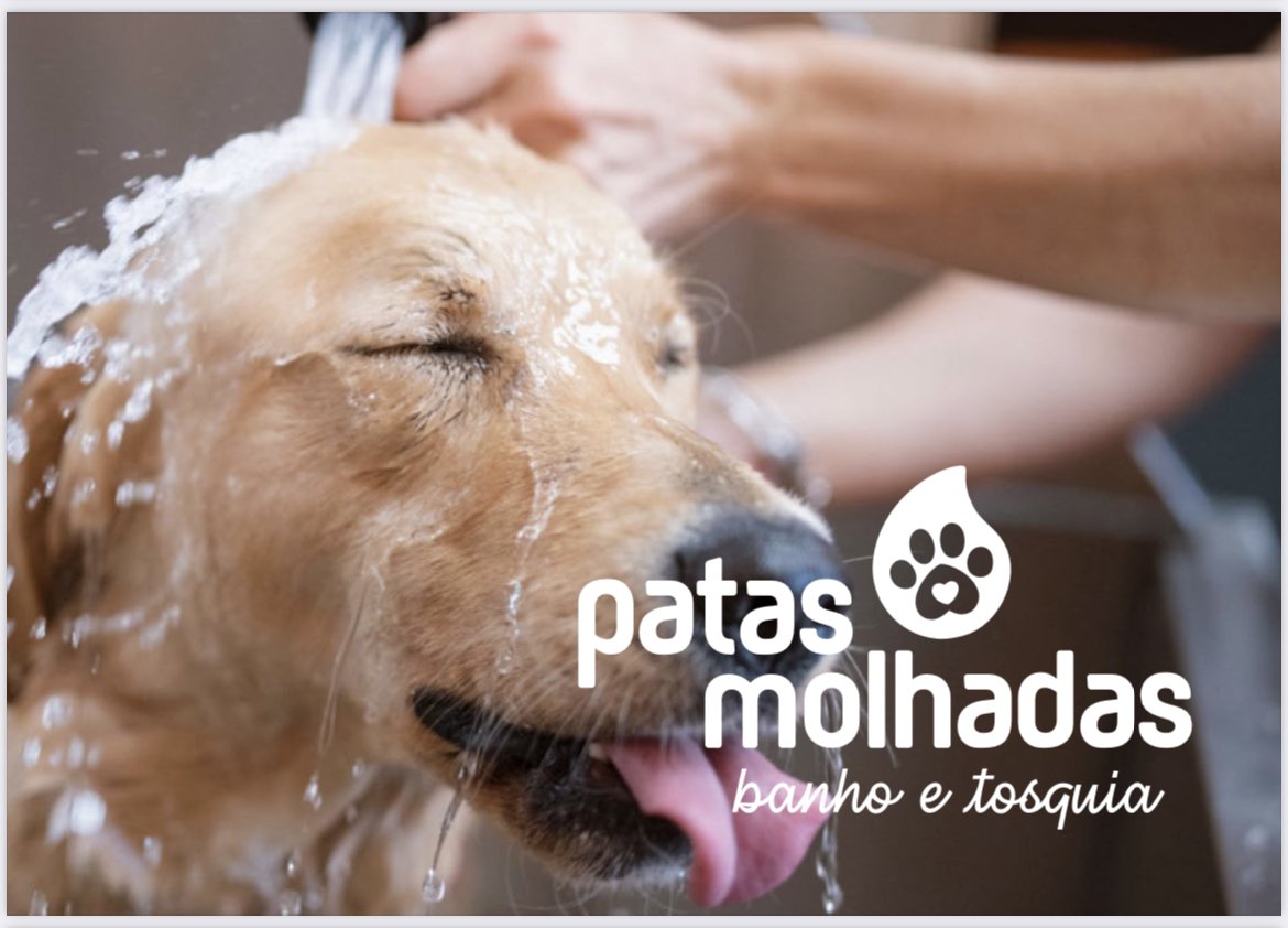 Patas Molhadas - Foto 2