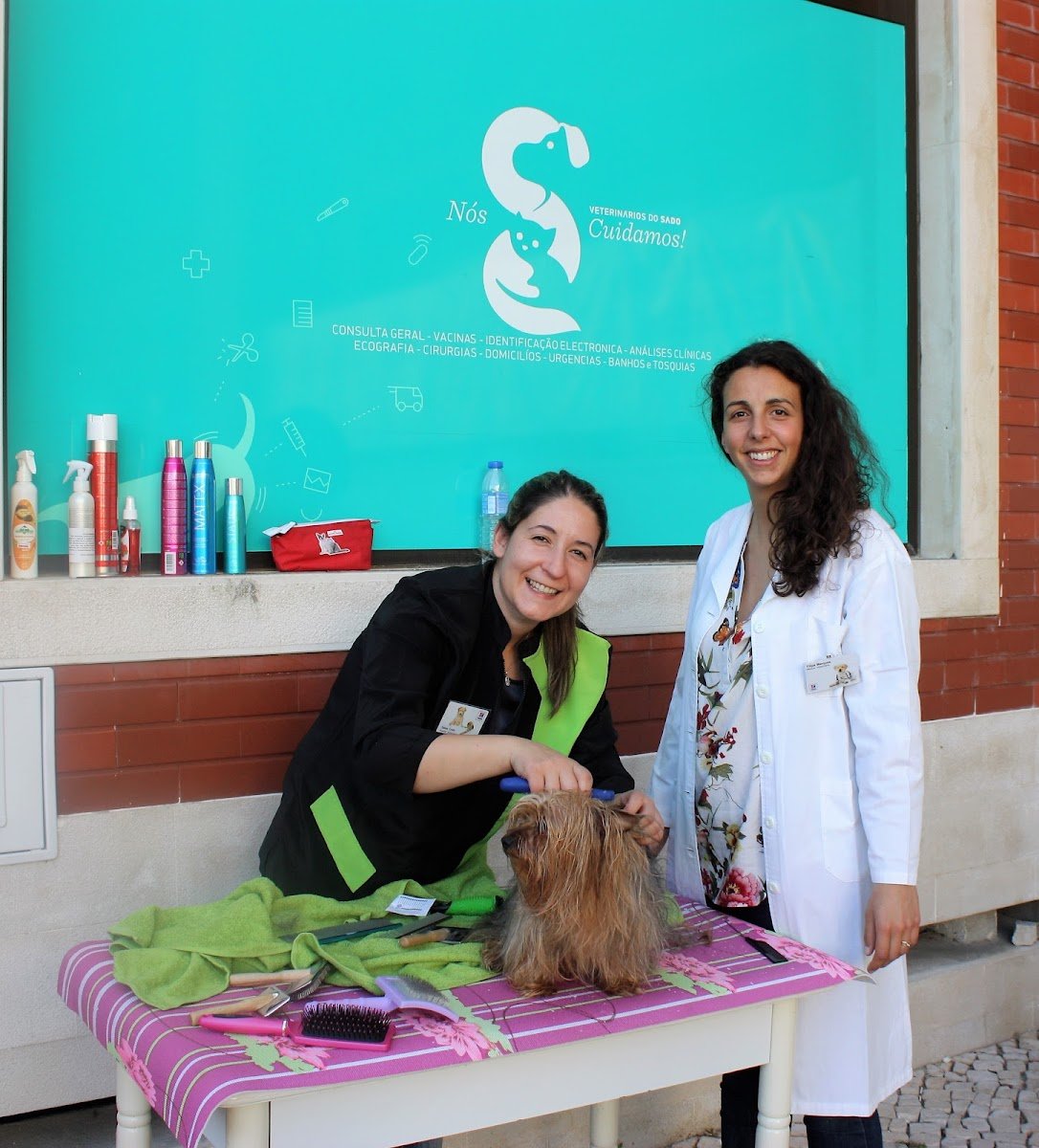 Veterinários do Sado - Foto 2