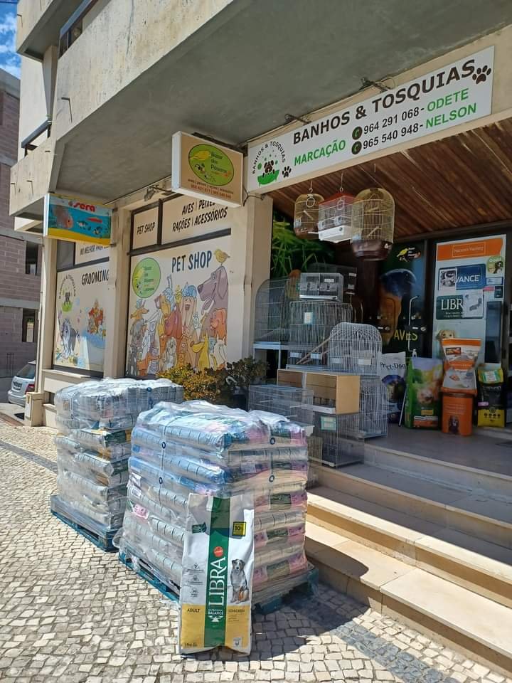 Bazar do Passáros - Foto 2