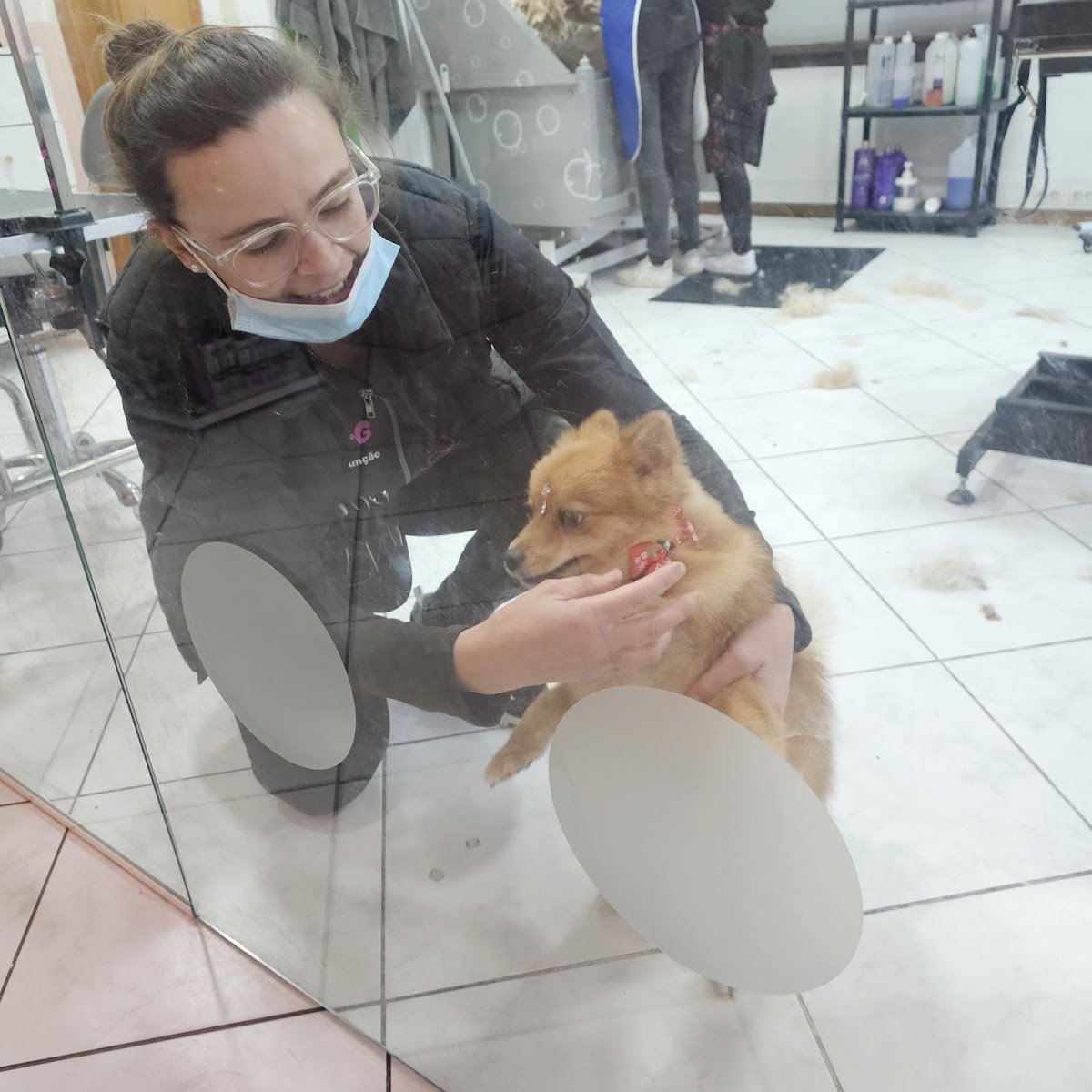 H2DOG_grooming Arcozelo - Foto 2