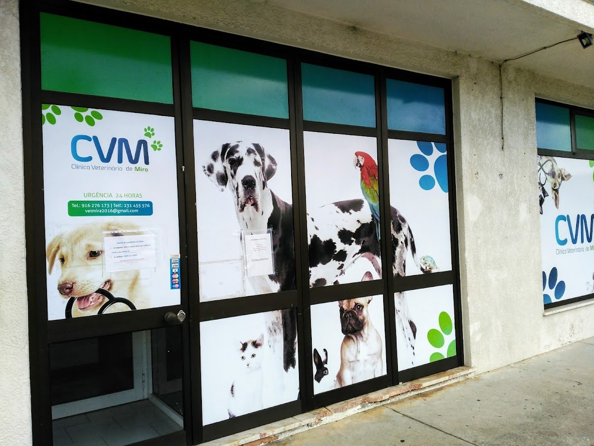 CVM-Clinica Veterinaria de Mira - Foto 2