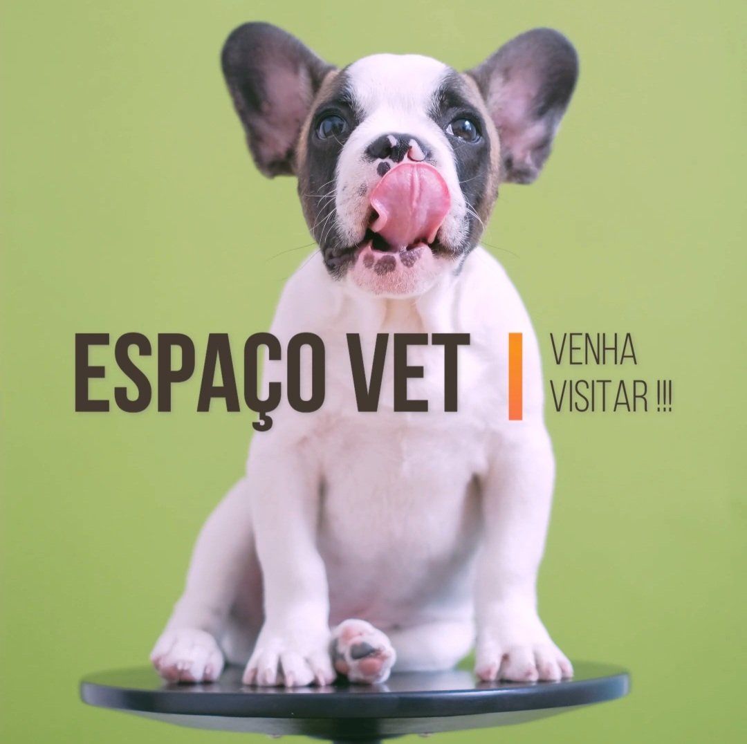 Espaço VET - Foto 2