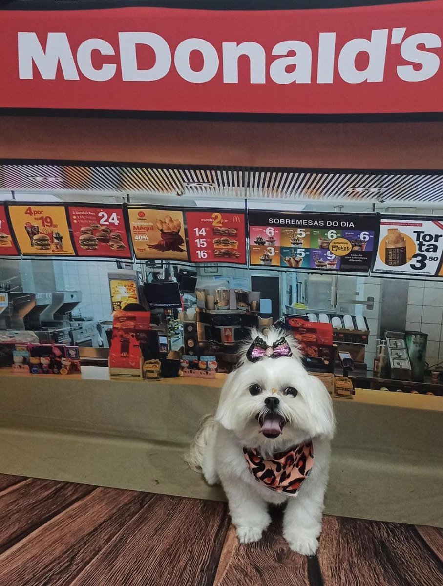 Art Pet Banho e Tosa