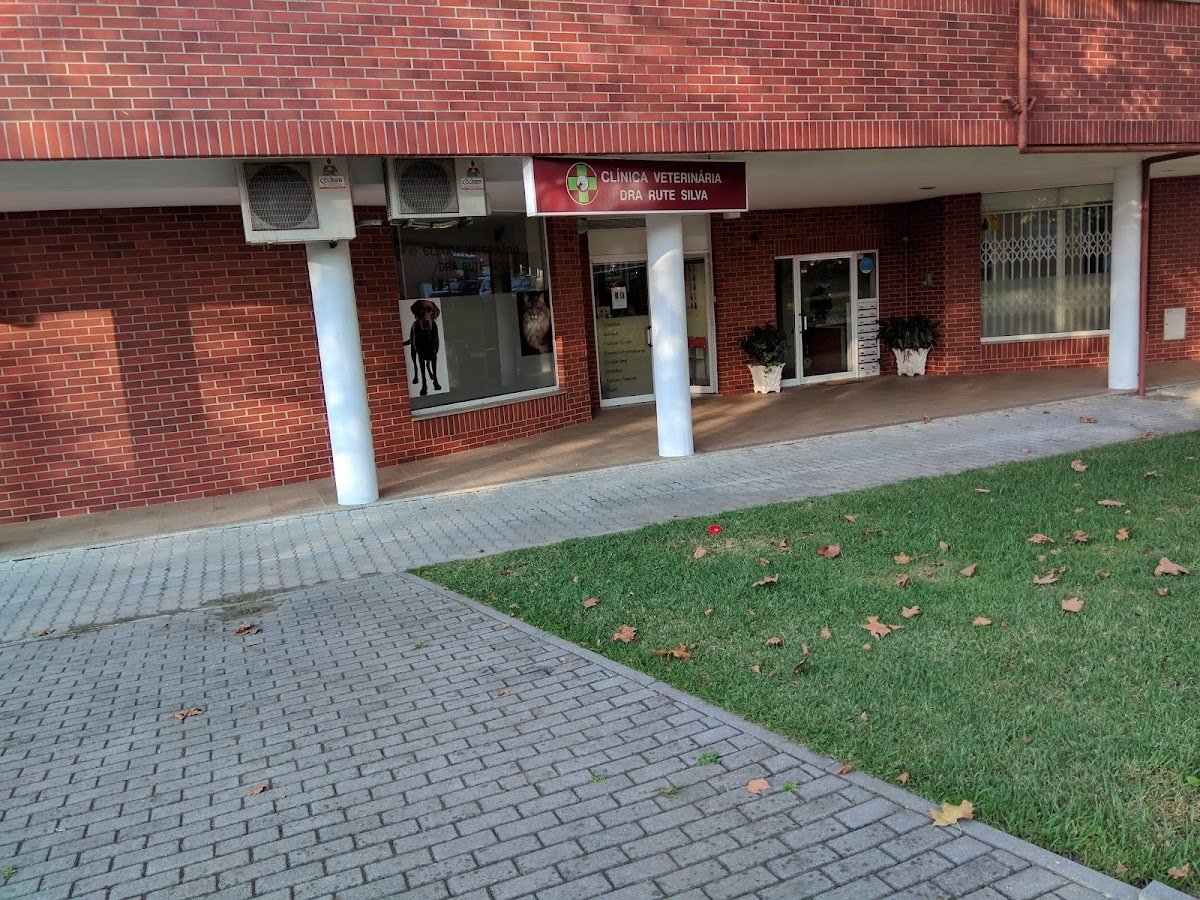 Clínica Veterinária de Palmeira - Foto 2