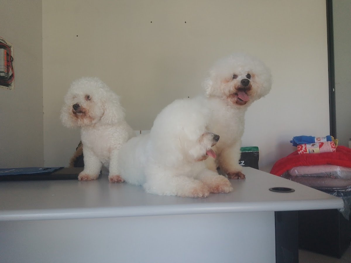 Centro de Estética Animal - Pet Shop Fiel Amigo