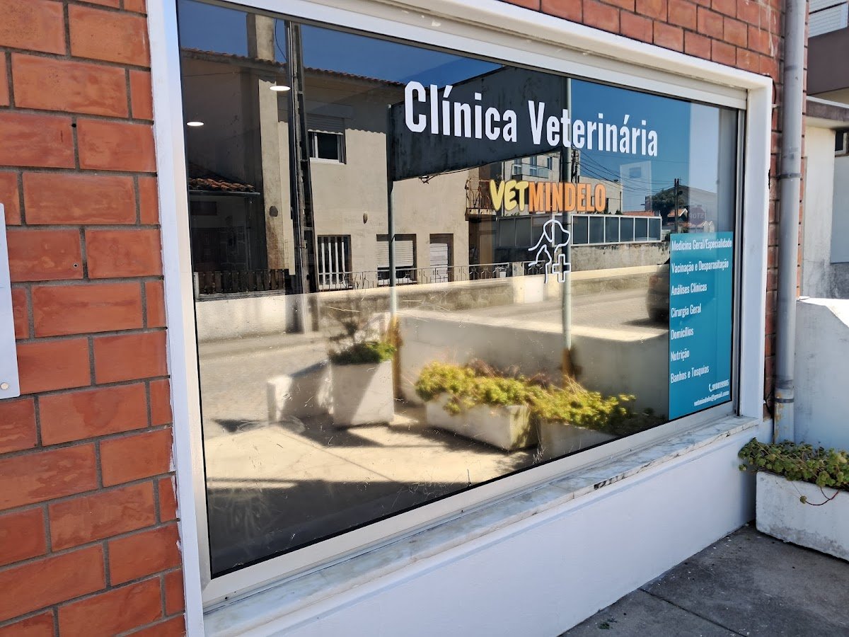 Vetmindelo - Clínica Veterinária - Foto 2