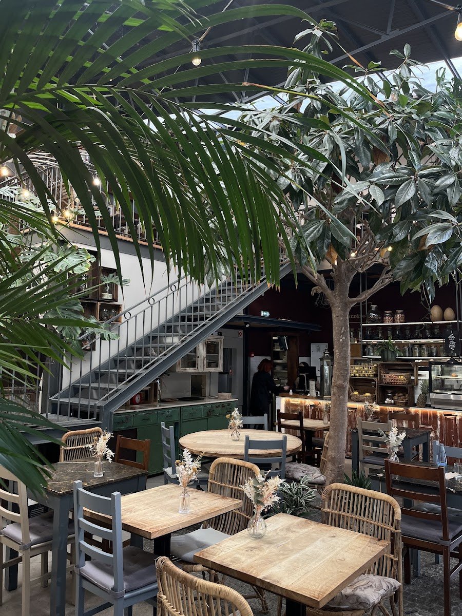Terrárea - Foto 2