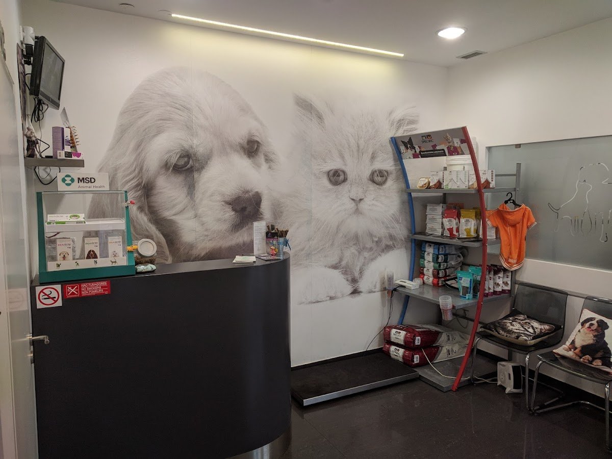 Clínica Veterinária VARZIMVET - Foto 2