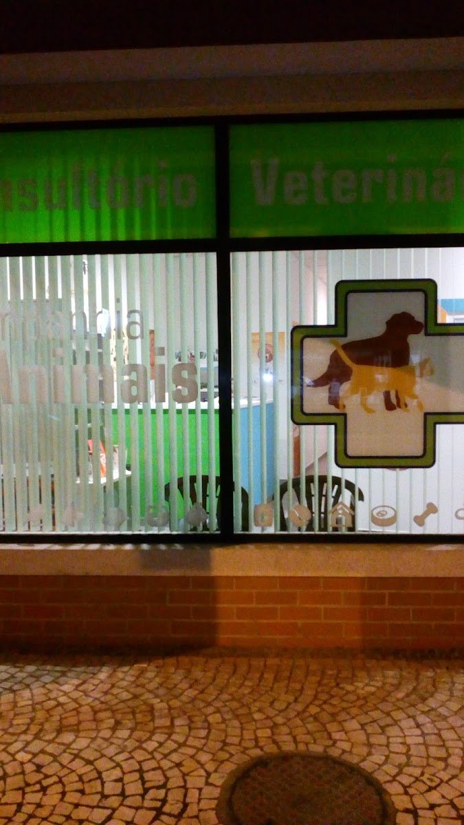 Consultorio Veterinario Companhia dos Animais - Foto 2