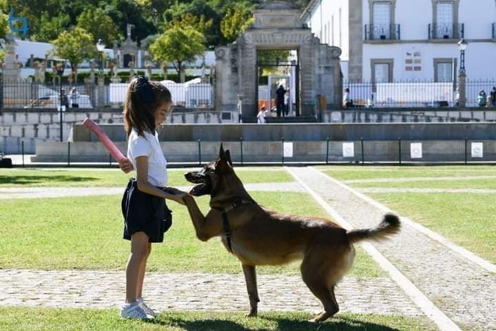 Lobinhos Amigos - Foto 2